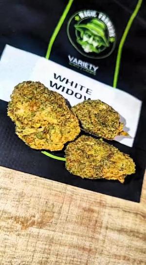 Comment by DeutschFarming2025 photo #2