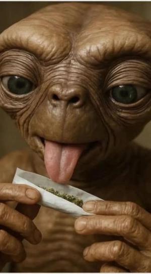 Comment by DeutschFarming2025 photo #1