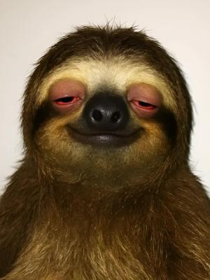 Comment by DeutschFarming2025 photo #4