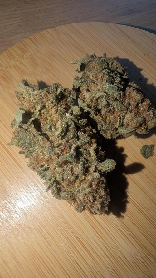 SmartGrow2025. Week 19 - FastBuds Biscotti Gellato