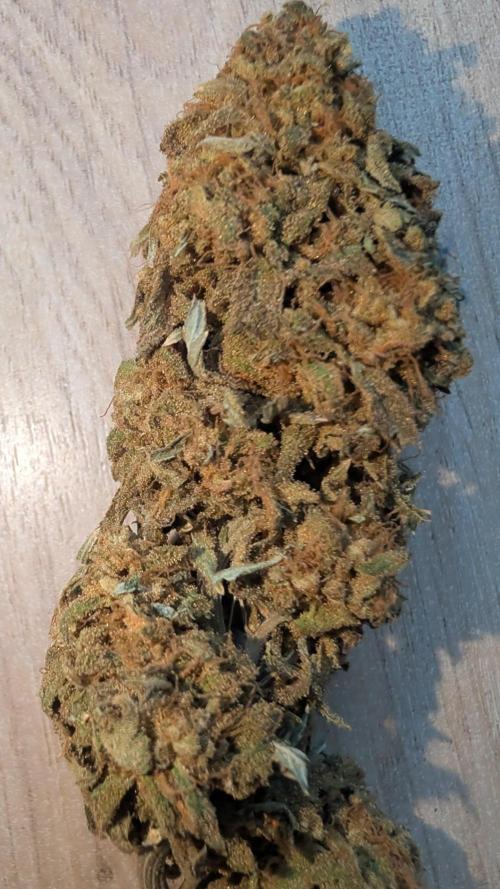 SmartGrow2025. Week 19