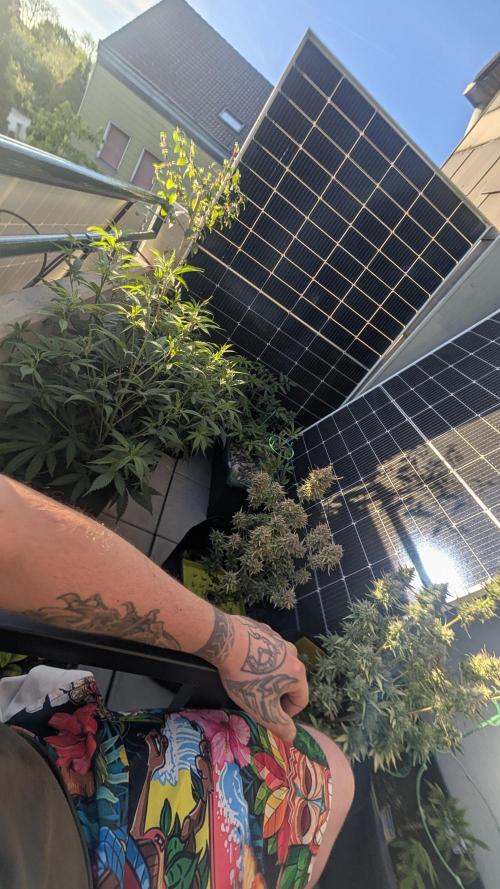 Fast Buds Auto Mix 2026. Week 8 - Fast Buds Auto Mix 2026 