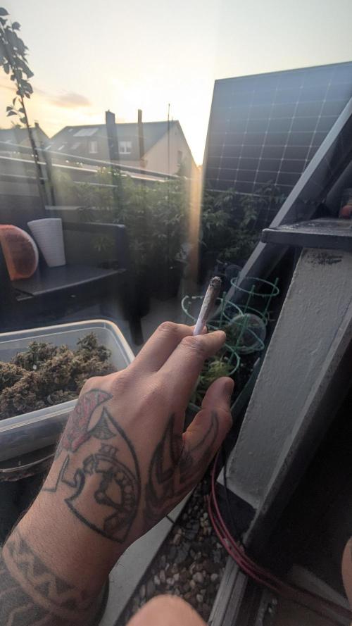Fast Buds Auto Mix 2026. Week 10