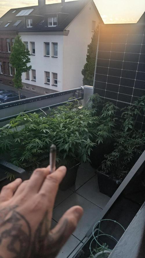 Fast Buds Auto Mix 2026. Week 10