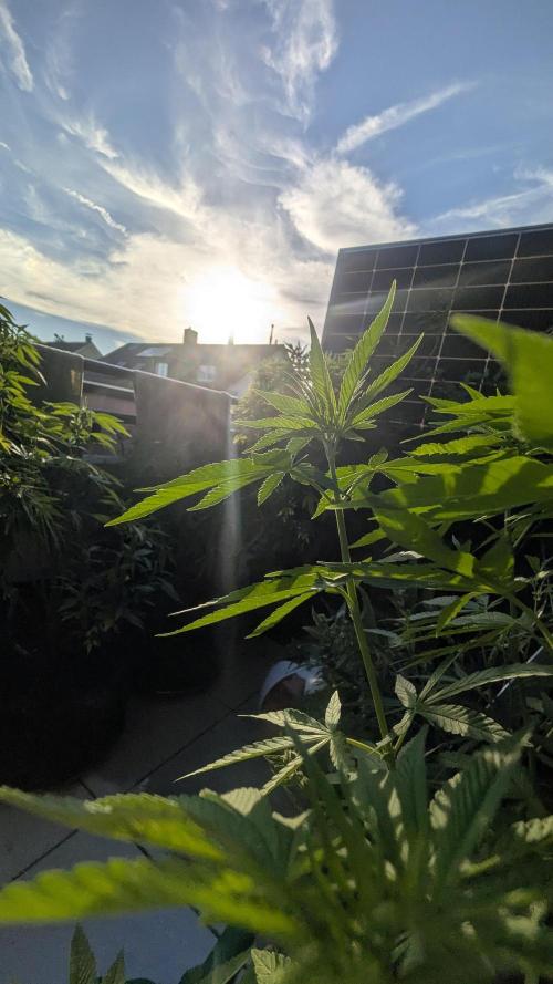 FastBuds  Mix 2026. Week 11 - FastBuds Mix 2026
