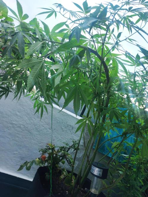 FastBuds  Mix 2026. Week 12 - FastBuds Mix 2026 
