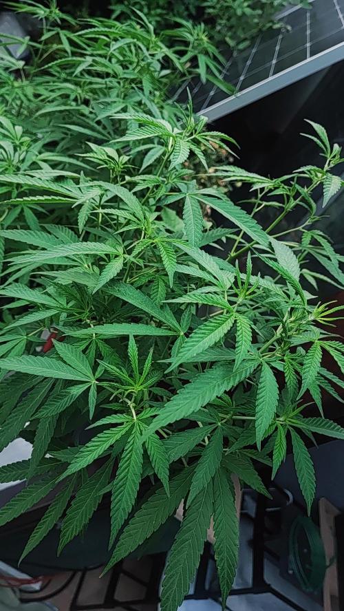 FastBuds  Mix 2026. Week 12 - FastBuds Mix 2026 