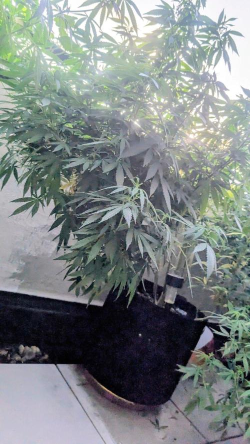 FastBuds  Mix 2026. Week 14 - FastBuds Mix 2026