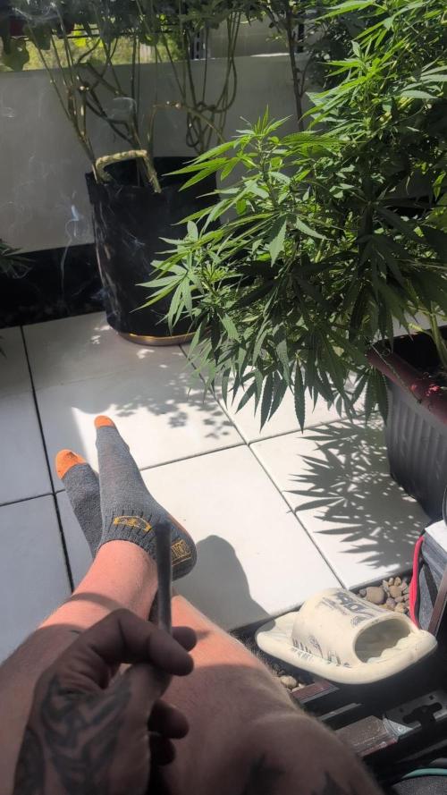 NoName - outdoor Growing FastBuds 2026. Week 9