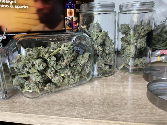 Fast.Farm. Week 8