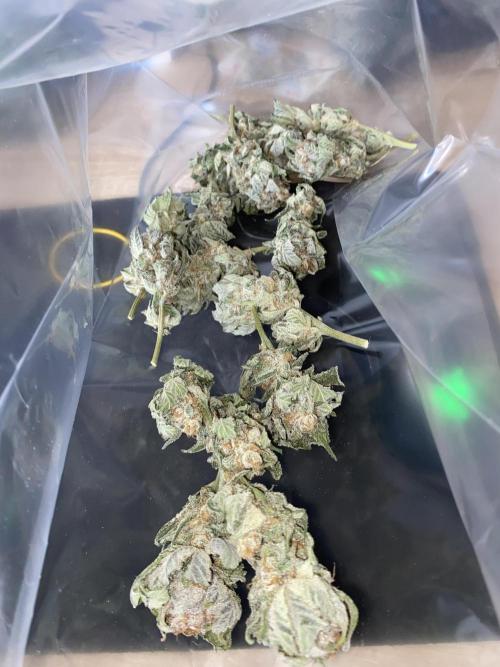 Fast.Farm. Week 8
