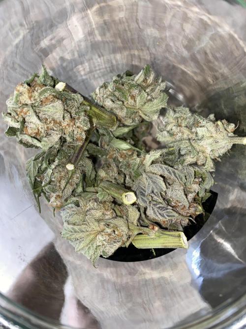 Fast.Farm. Week 8