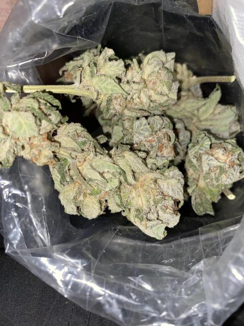 Fast.Farm. Week 10