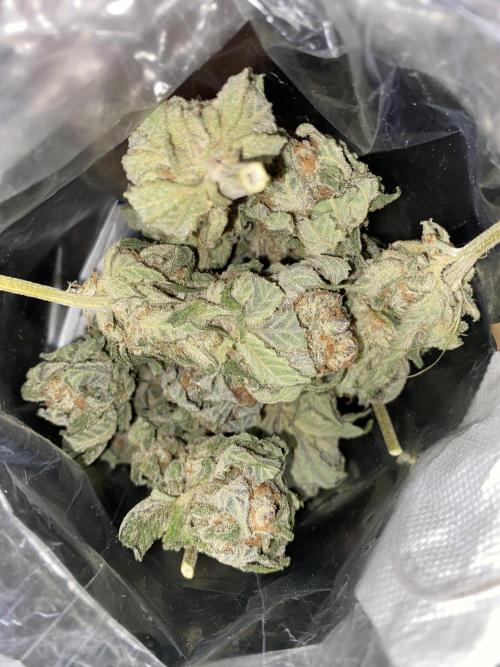 Fast.Farm. Week 10