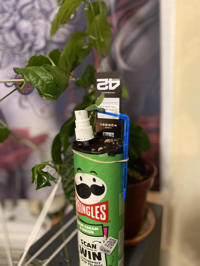 Hopefull 420 Grow. Week 0 - Pringlescup