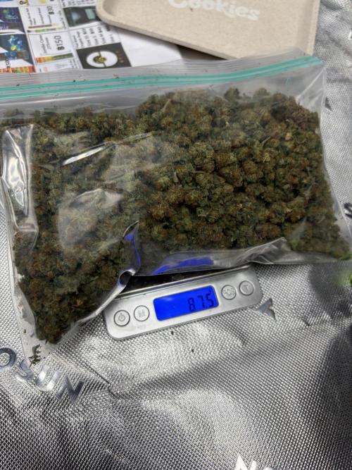 King’s Juice Clones | Coco Run. Week 18