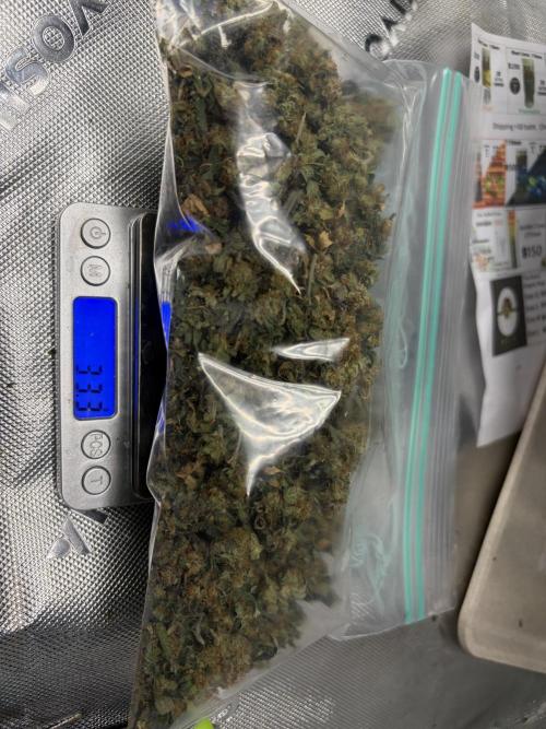 King’s Juice Clones | Coco Run. Week 18