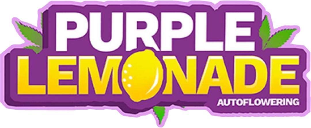 Purple Lemonade Automatic FastBuds. Week 1