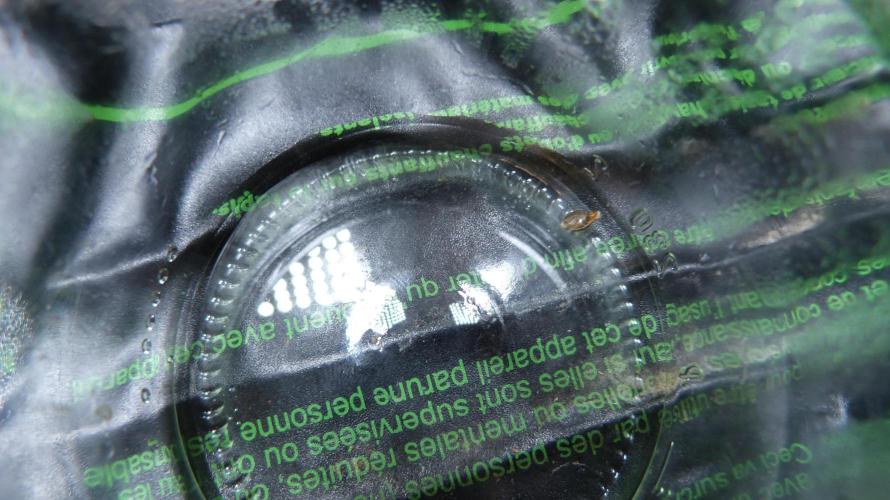 !FastBuds FBA unpublished TESTER GROW!. Week 0 - 25.07.2026