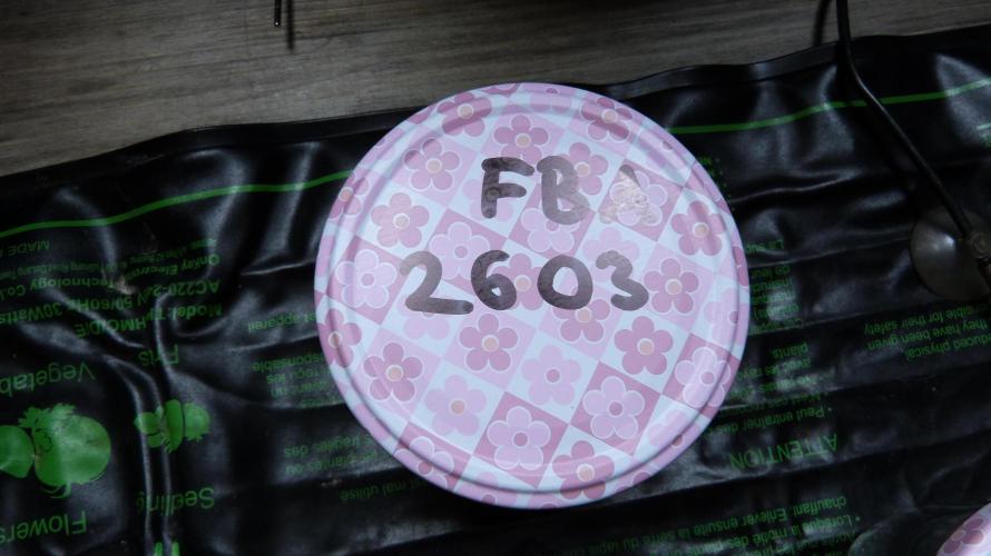 !FastBuds FBA unpublished TESTER GROW!. Week 0 - 25.07.2026