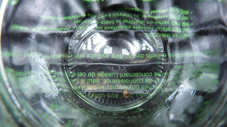 !FastBuds FBA unpublished TESTER GROW!. Week 0 - 25.07.2026