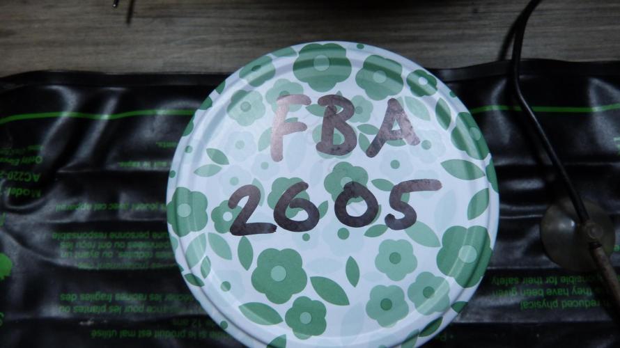 !FastBuds FBA unpublished TESTER GROW!. Week 0 - 25.07.2026