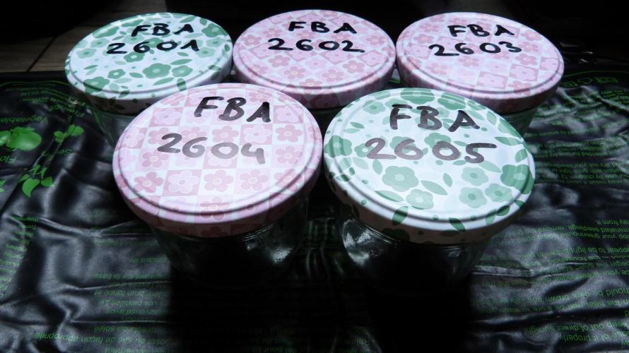 !FastBuds FBA unpublished TESTER GROW!. Week 0 - 25.07.2026