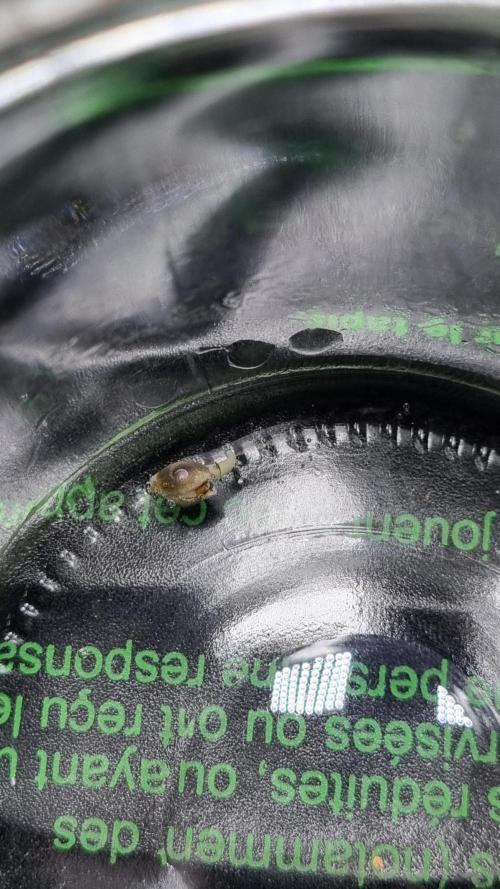 !FastBuds FBA unpublished TESTER GROW!. Week 0 - 26.07.2026
Nr. 1 
10 Hrs later
FBA2601