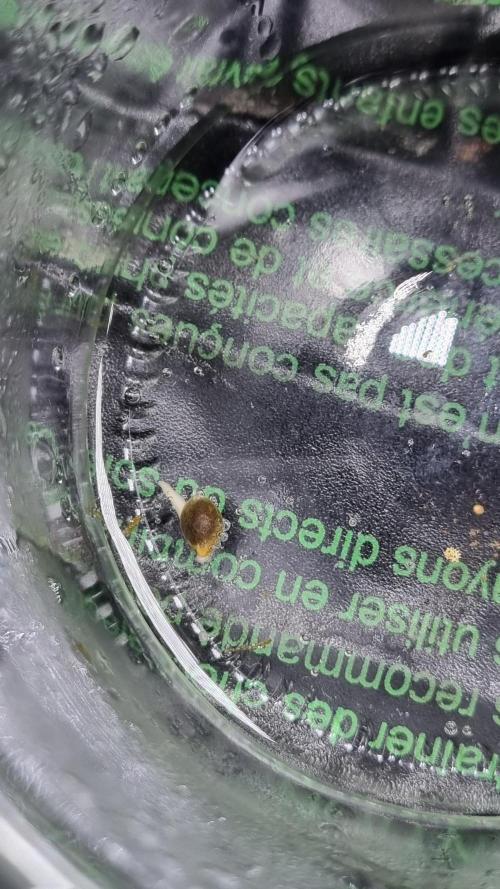 !FastBuds FBA unpublished TESTER GROW!. Week 0 - 26.07.2026
Nr. 2
10 Hrs later
FBA2602