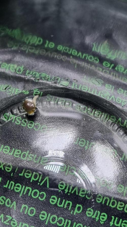!FastBuds FBA unpublished TESTER GROW!. Week 0 - 26.07.2026
Nr. 4 
10 Hrs later
FBA2604
