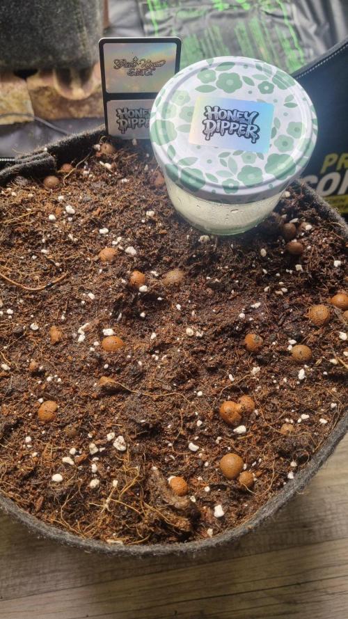 Community GROW. Week 0