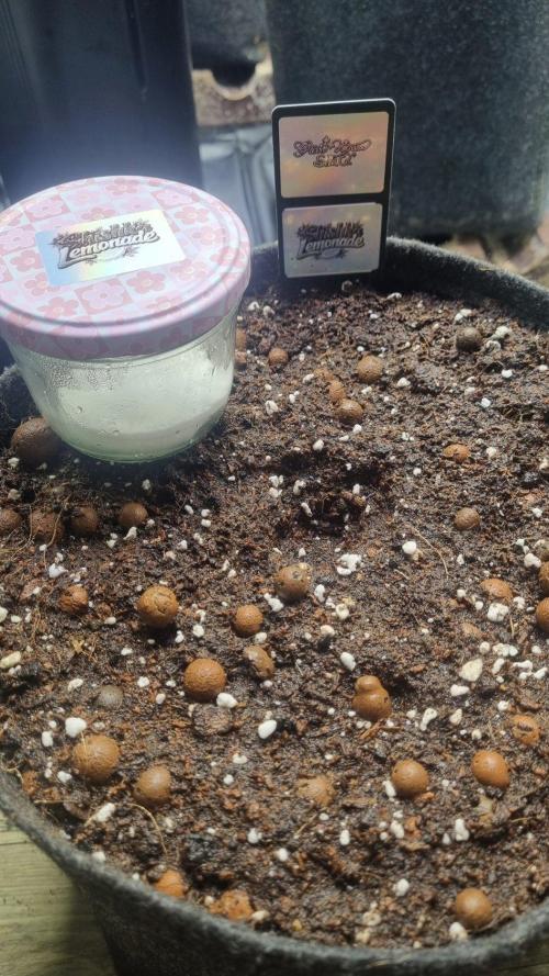 Community GROW. Week 0