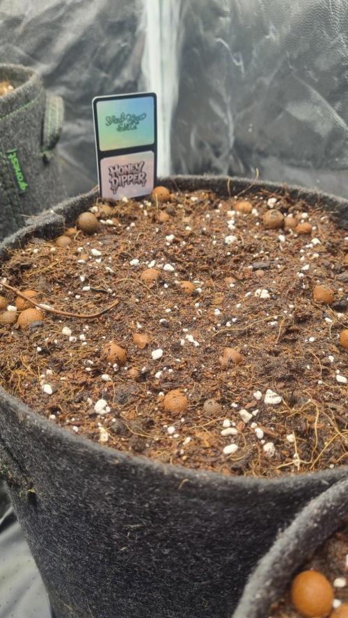 Community GROW. Week 1