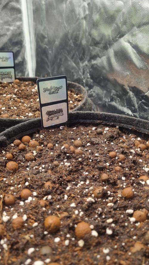 Community GROW. Week 1