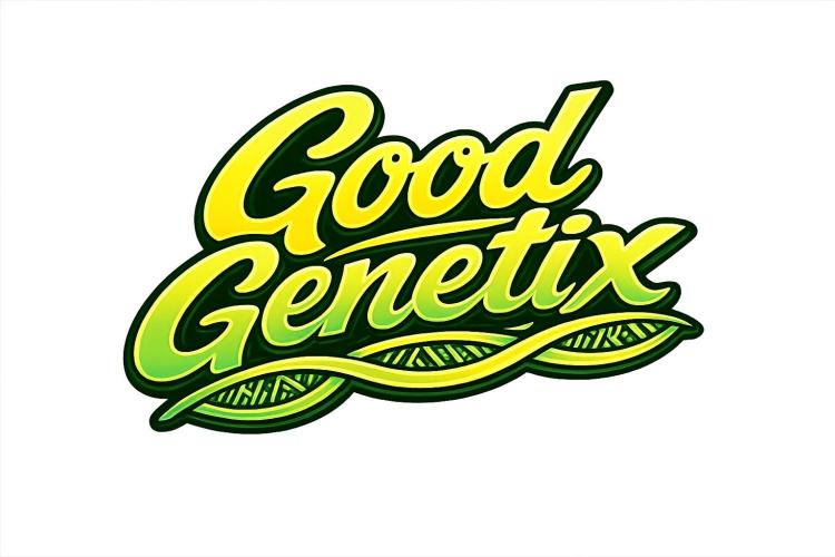 GoodGenetix Super Tropicana Cherry FF. Week 0