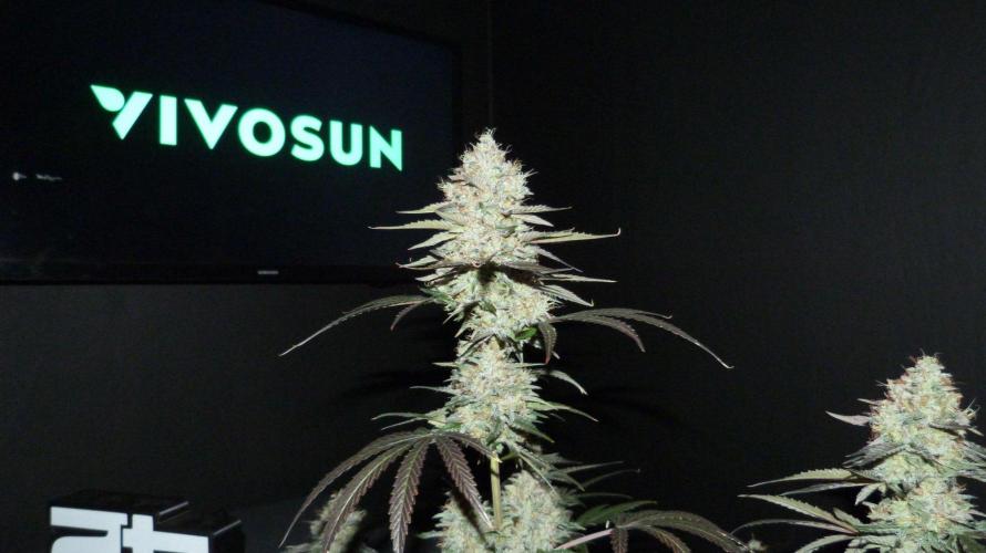 !FastBuds FBA unpublished TESTER GROW!. Week 10
