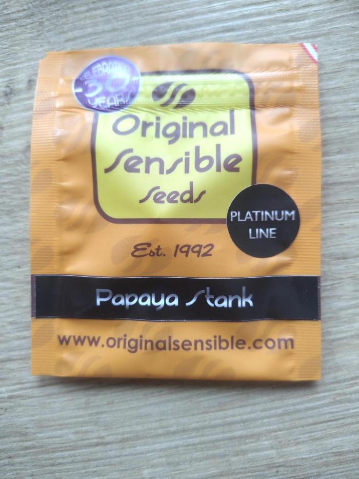 OSS Papaya stank fem. Week 0