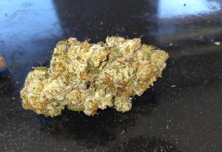 OSS Papaya stank fem. Week 13