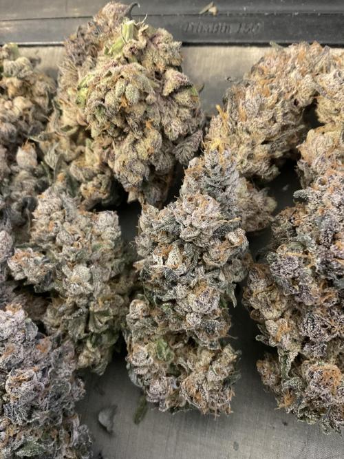 Blueberry pancakes indoor HSC. Week 16