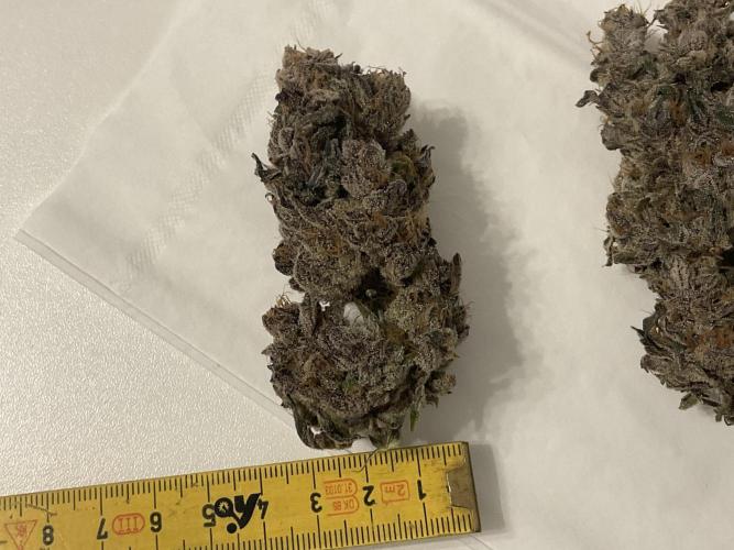 Blueberry pancakes indoor HSC. Week 16