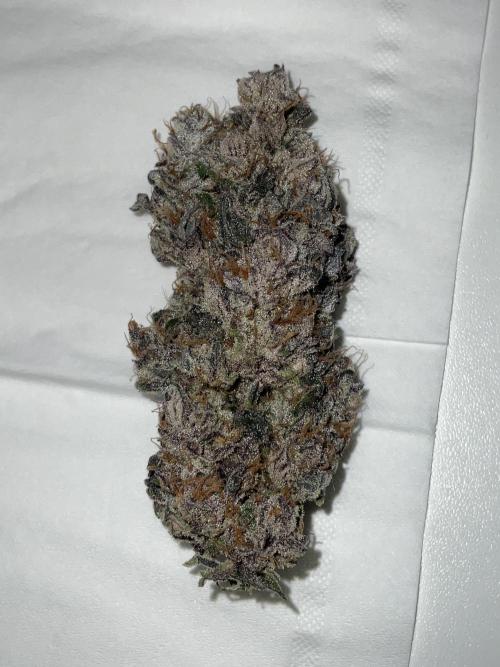 Blueberry pancakes indoor HSC. Week 16