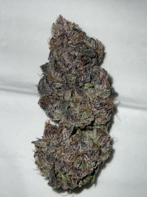Blueberry pancakes indoor HSC. Week 16
