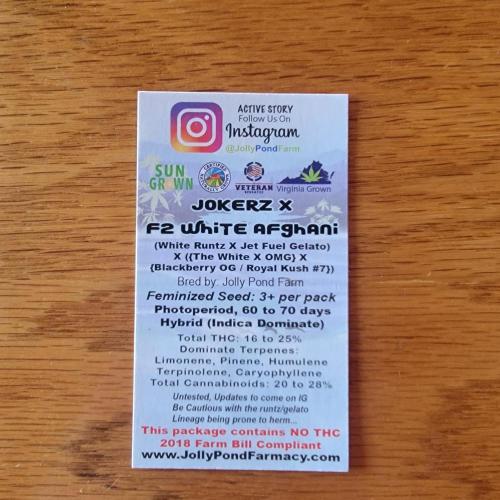 Jokerz x white afghani. Week 0 - Back card