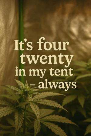 Comment by Skynets_Growing photo #1