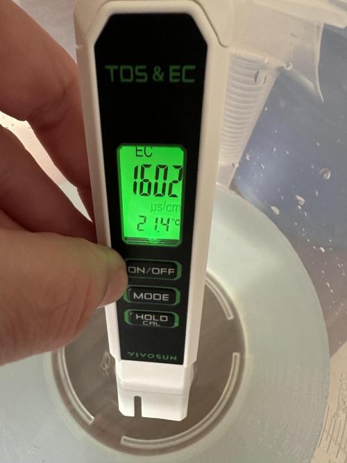 My first grow with Tamara. Week 9 - Tamara her nutrient solution like everytime else 1600 EC