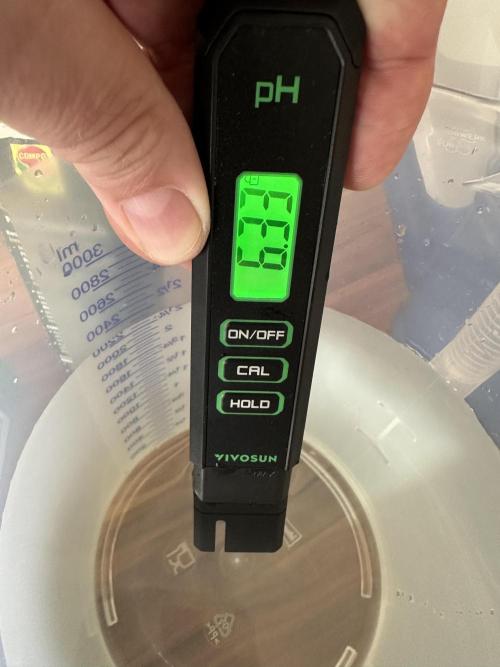 My first grow with Tamara. Week 9 - and PH around 6.3-6.5 maybe to low but Tamara has no defects.