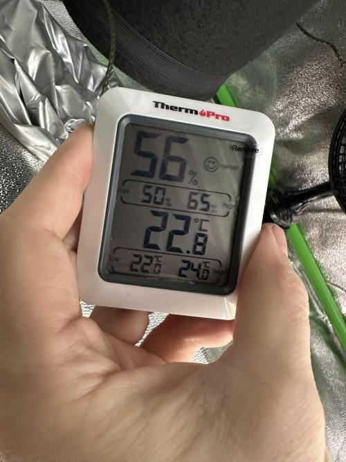 Community Grow Oct 2025 ELSA. Week 6 - Here we have a look at the Hydrometer in Elsa‘s growbox… I think it’s nice.