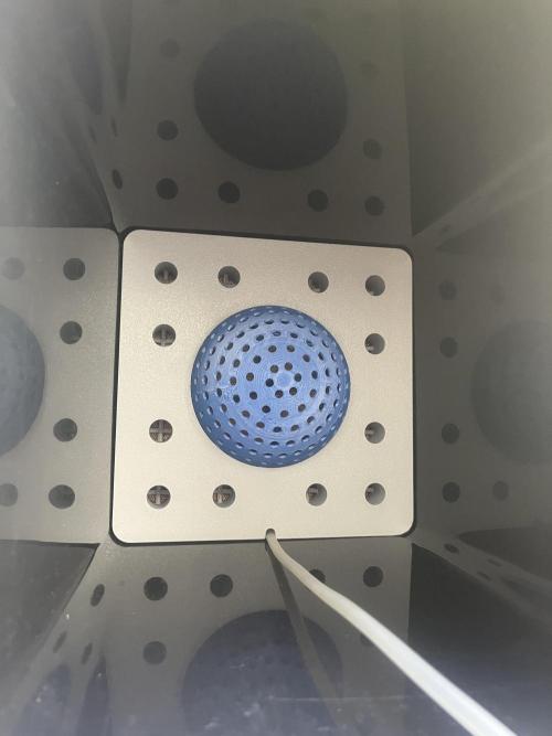 AutoPot _Fast Buds_420. Week 1