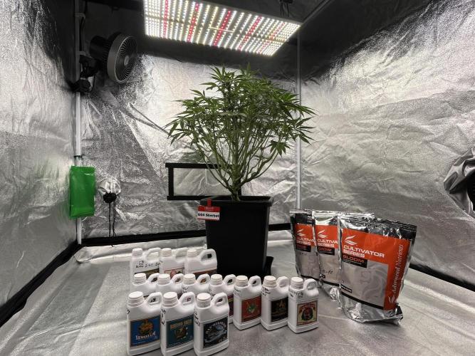 AutoPot _Fast Buds_420. Week 9