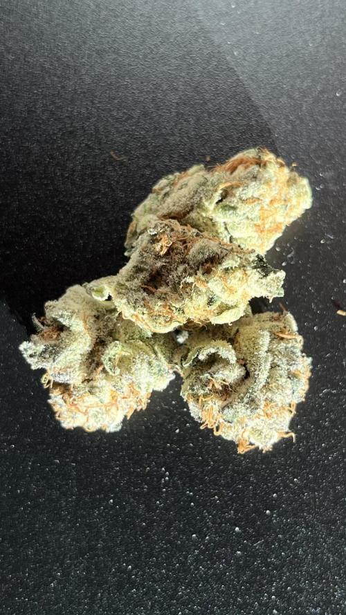 COCO_FAST&SWEET_Buds-3round. Week 14